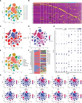 Immunosuppressive landscape in hepatocellular carcinoma revealed by single-cell sequencing